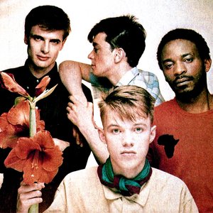 Image pour 'Orange Juice'