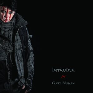 Image for 'intruder'