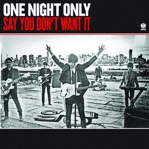 Image for 'Say You Don't Want It - Single'