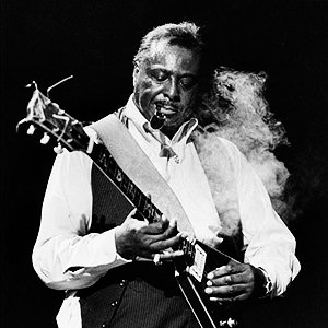 Image pour 'Albert King'