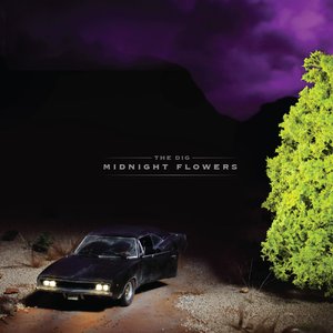 “Midnight Flowers”的封面