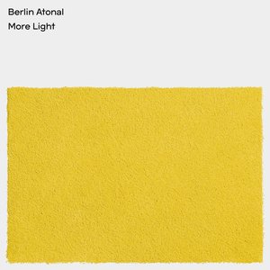 Zdjęcia dla 'Berlin Atonal: More Light'