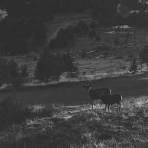 Image for 'STAY'