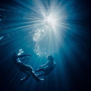 Image pour 'The Ocean'