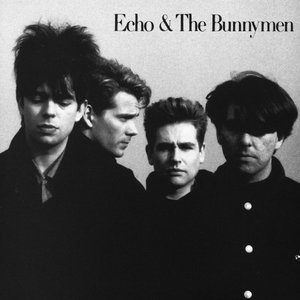 Image for 'Echo & the Bunnymen'