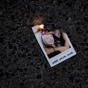 Image for 'what never lived'