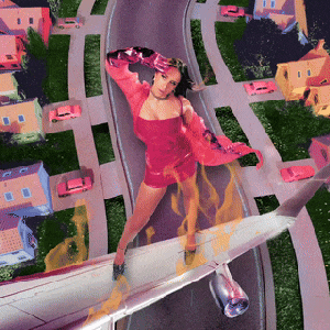Image pour 'i used to think i could fly'