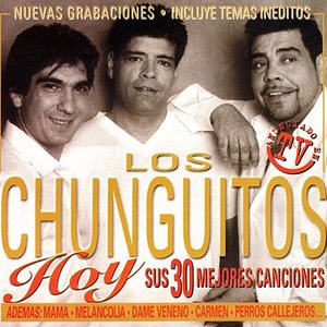 Image for 'Hoy Sus 30 Mejores Canciones'