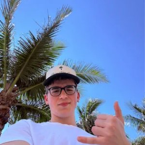 Изображение для 'Palm Monkey'