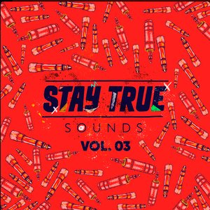 Image for 'Stay True Sounds Vol.3 (Compiled by Kid Fonque)'