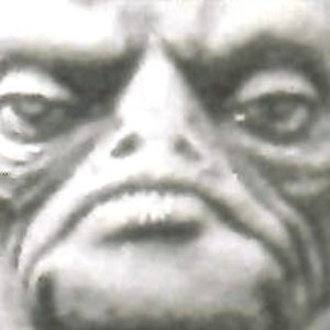 Image for 'Leathernecks'