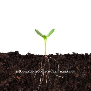 “Balance and Composure / Tigers Jaw”的封面