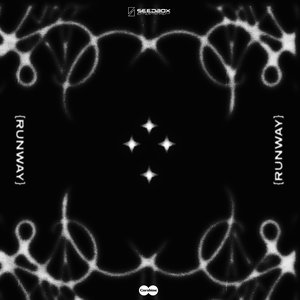Image for 'RUNWAY'