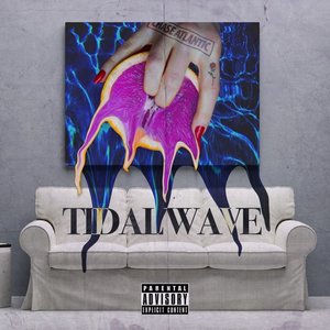 Image for 'Tidal Wave'