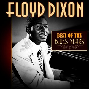 Image for 'Best of the Blues Years'