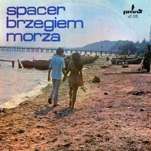 “Spacer Brzegiem Morza”的封面