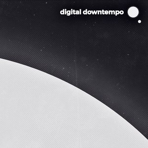 Image for 'Digital downtempo'