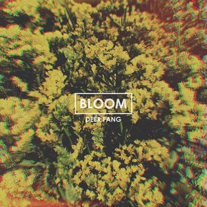 Image for 'Bloom'