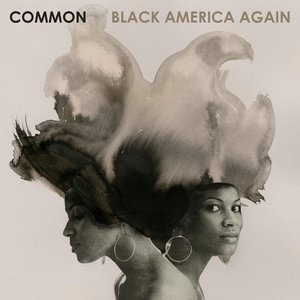 “Black America Again”的封面