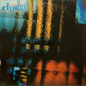 Image for 'Hybrid'