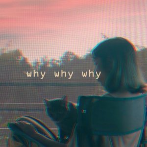 Image for 'Why Why Why'