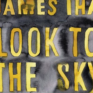 Immagine per 'Look To The Sky (Bonus Version)'
