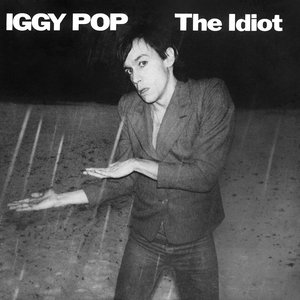 Image for 'The Idiot'