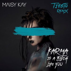 Image for 'Karma Is A Bitch Like You (Tiësto Remix)'