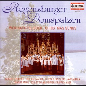 Bild für 'Christmas Choral Concert: Regensburg Cathedral Choir - Lutzel, J.H. / Pachelbel, J. / Handl, J. / Rheinberger, J.G. / Brahms, J. / Britten, B.'