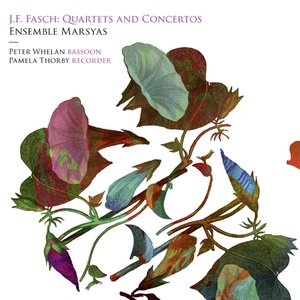 Immagine per 'Fasch: Quartets and Concertos'