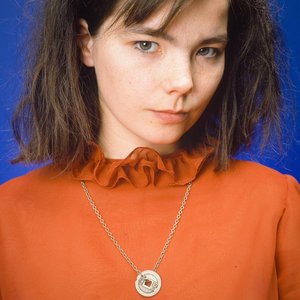 Image for 'Björk'