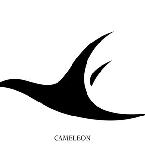 Bild för 'Best of Cameleon'