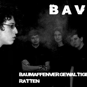 Image for 'BAVR'