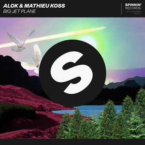 Image for 'ALOK, Mathieu Koss'