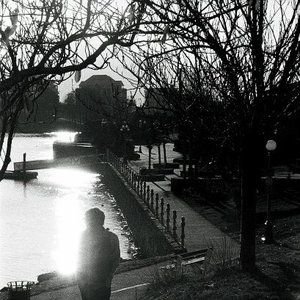 Image for 'The Bird's Companion'