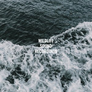 Imagem de 'Deluxe Wave Sounds'