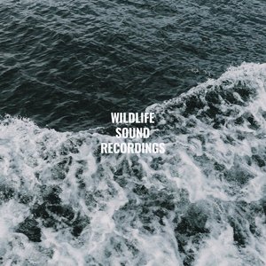 Zdjęcia dla 'Deluxe Wave Sounds'