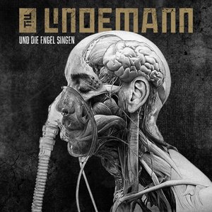 “Und die Engel singen - Single”的封面