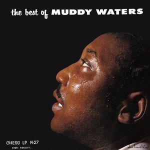 “The Best Of Muddy Waters”的封面