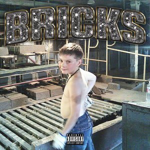 Image for 'BRICKS'