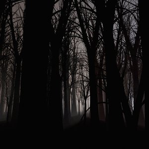 Bild für 'The Spirits In This Forest Are Older Than Your Gods'