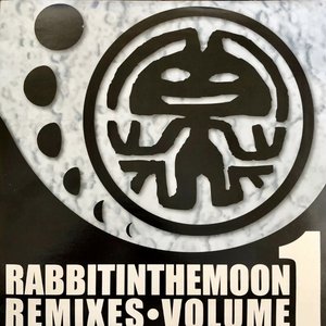 Bild för 'The Rabbit in the Moon Remixes, Volume 1'