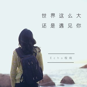“世界这么大还是遇见你”的封面