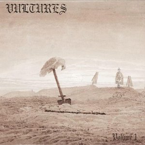 “Vultures”的封面