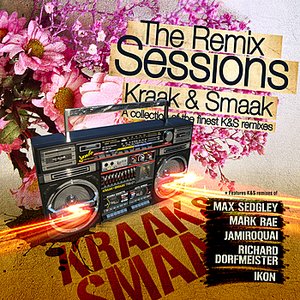 Image for 'The Remix Sessions'