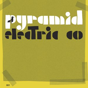 Изображение для 'Pyramid Electric Co.'