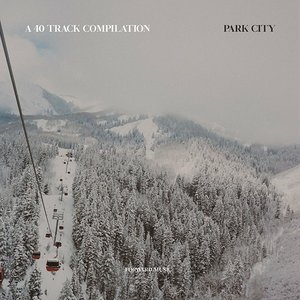 'A 40 Track Compilation: Park City'の画像