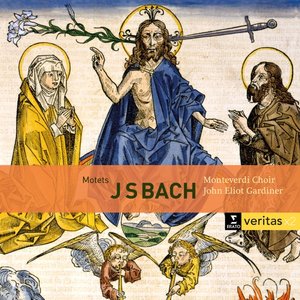 'Bach: Motets BWV 225-231, Cantatas BWV 50 & 118' için resim