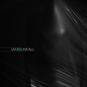 Image for 'Unfall'