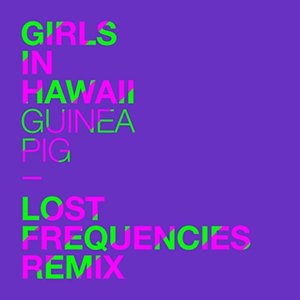 Image for 'Guinea Pig (Lost Frequencies Remix)'